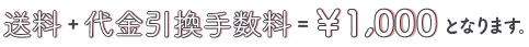 小・高校・奈良学園は送料＋代金引換手数料で1100円となります。